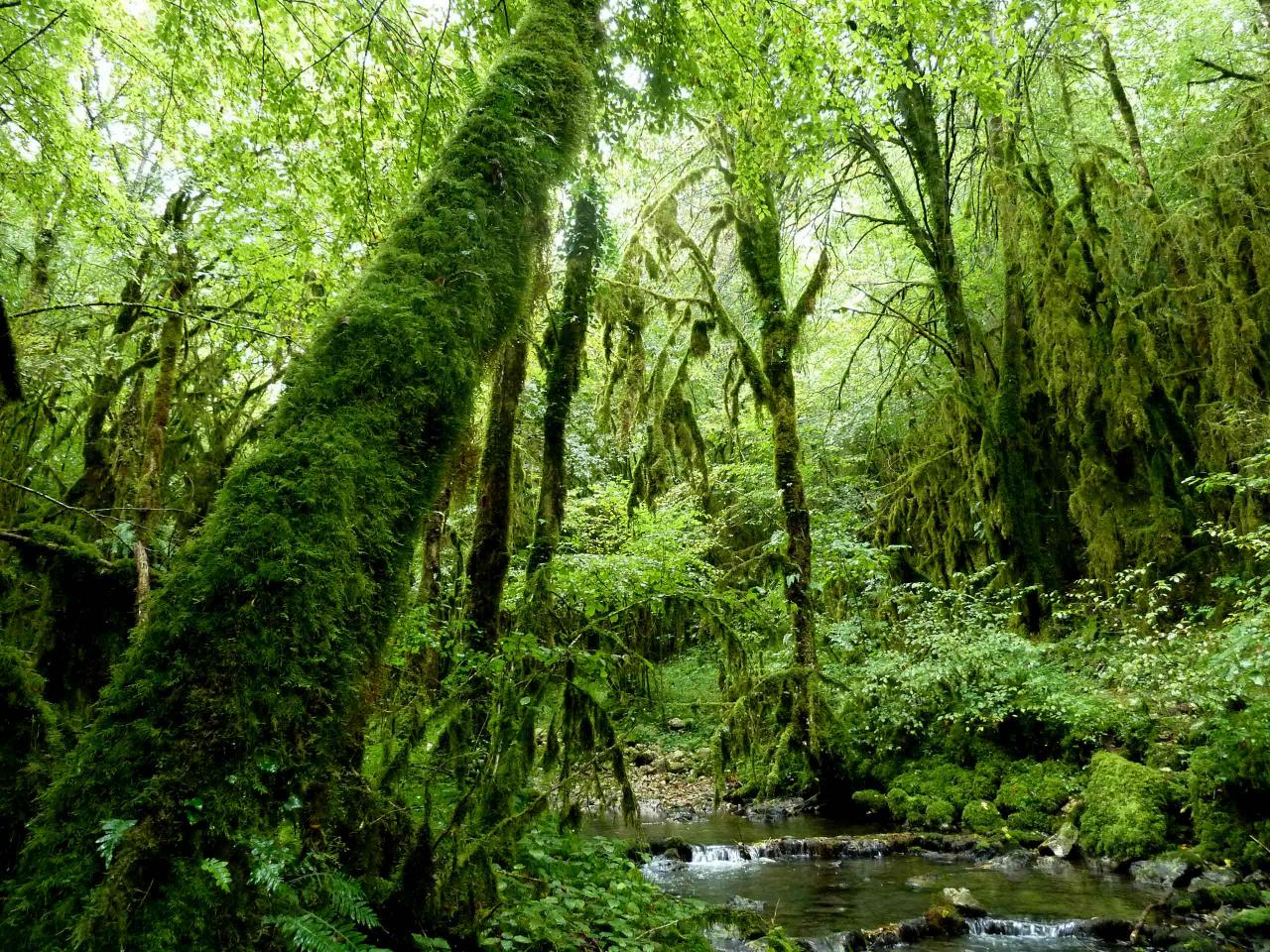 Il existe une vallée sans nom... mais non sans mystère
