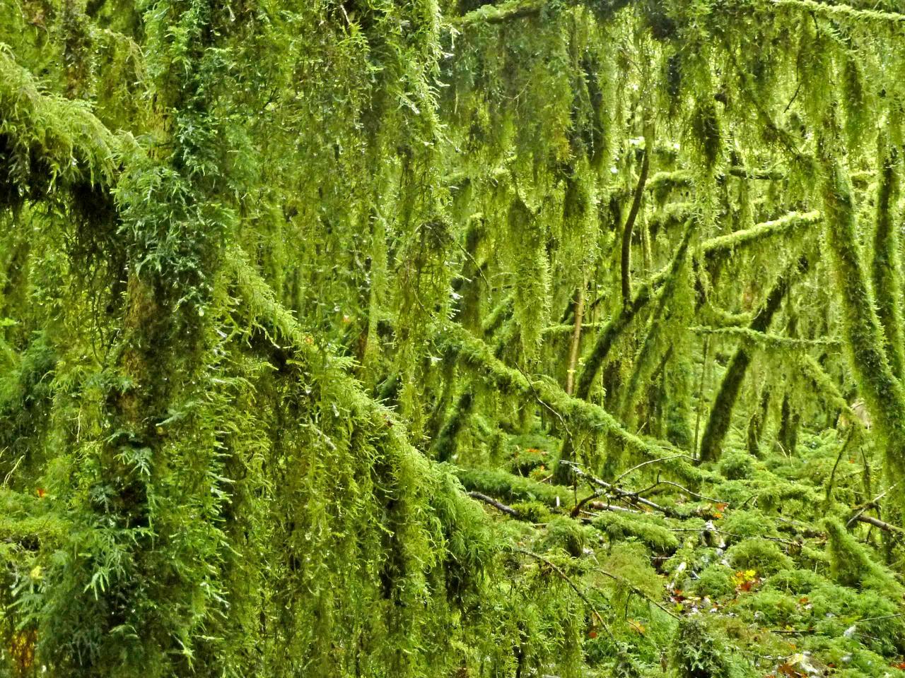 Qui veut venir se perdre ici?